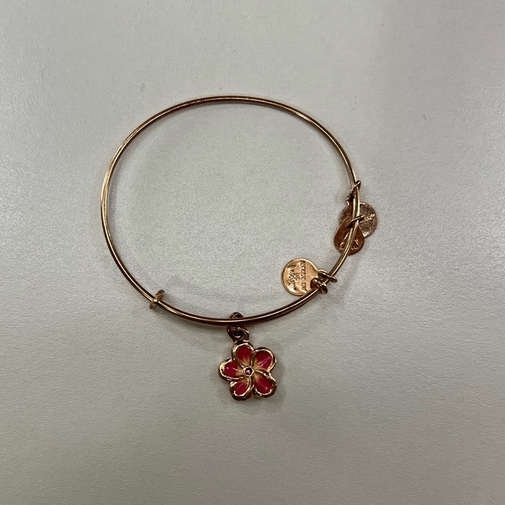 Alex & Ani Bracelet